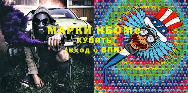 прущий лед Бородино